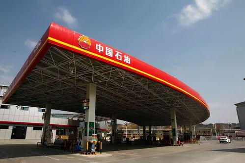 国产资源站  第3张